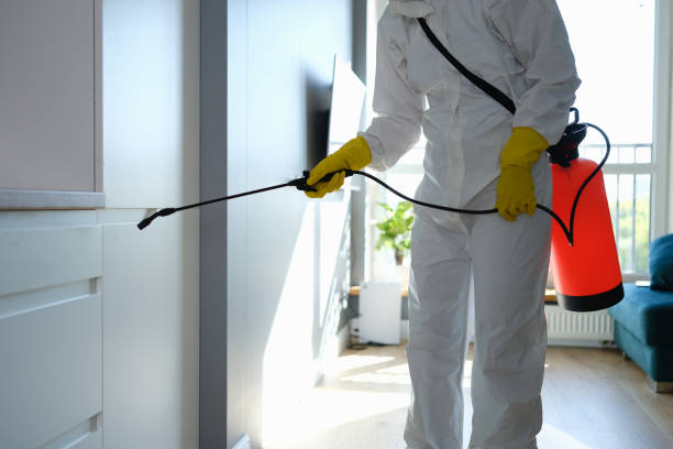 Professional Mold Removal in Monrovia, CA