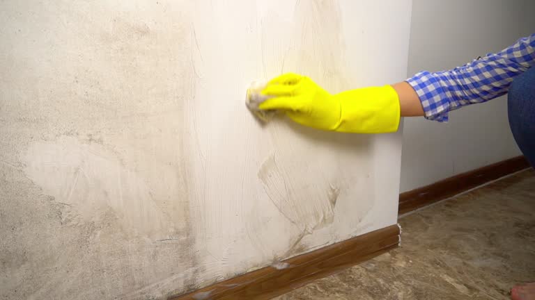 Best Post-Remediation Verification Testing  in Monrovia, CA