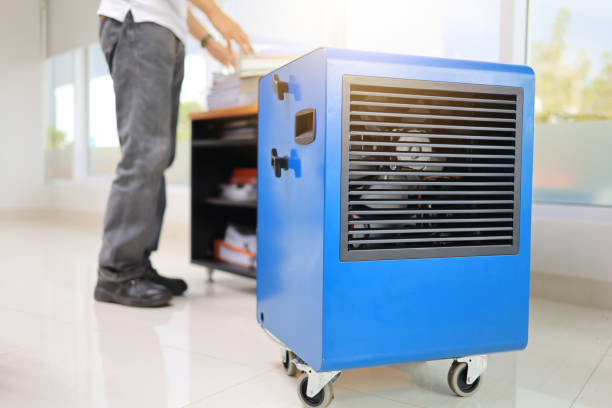 Best Mold Prevention Services  in Monrovia, CA