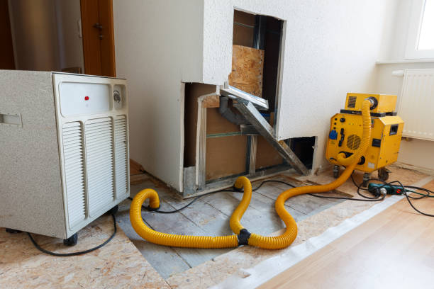 Best Forensic Mold Investigation  in Monrovia, CA