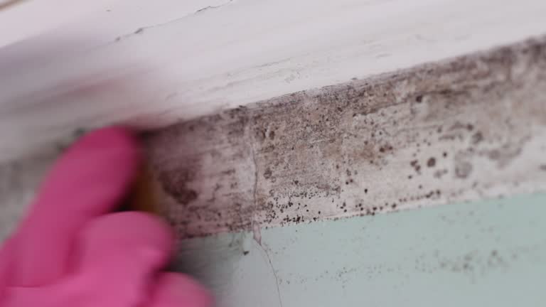 Best HVAC Mold Inspection and Cleaning  in Monrovia, CA